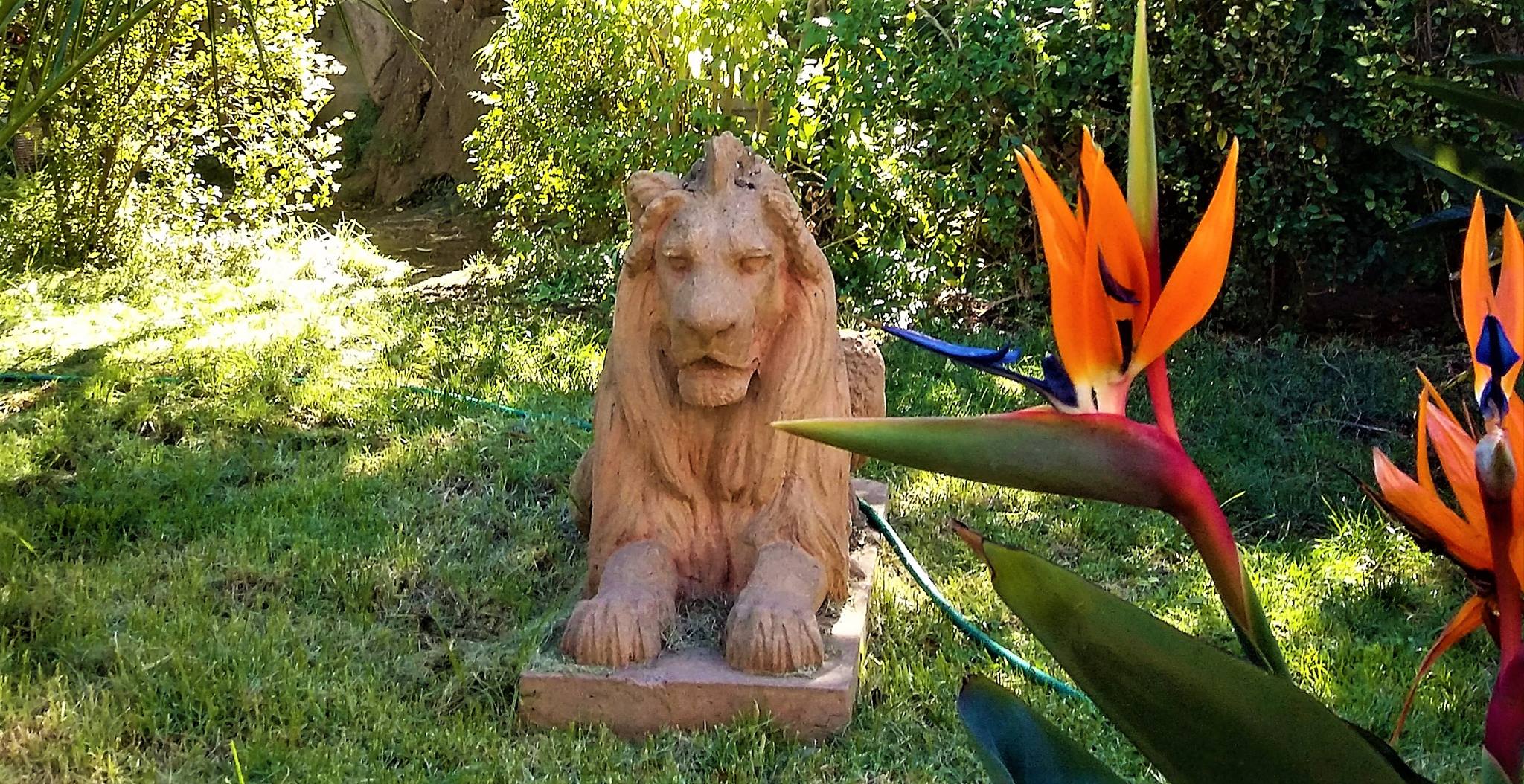 El Rey León de Recreo